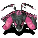 image13.gif